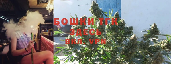 молекула духа Инсар